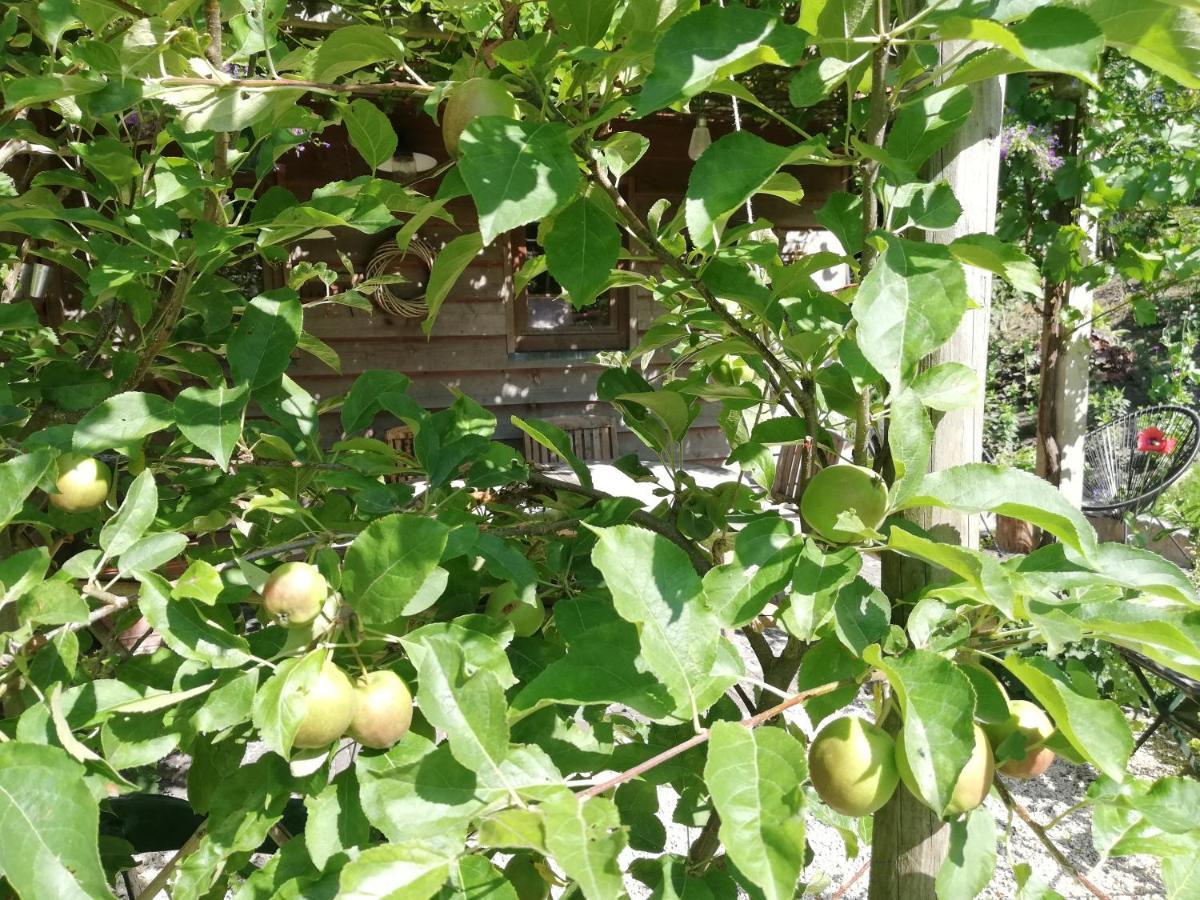 Vakantiewoning-Deblinker Sint-Laureins Dış mekan fotoğraf